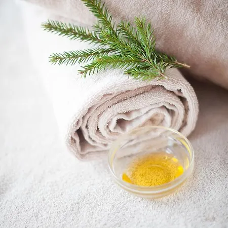 Hotel Finnskogtoppen Velvaerehotell *